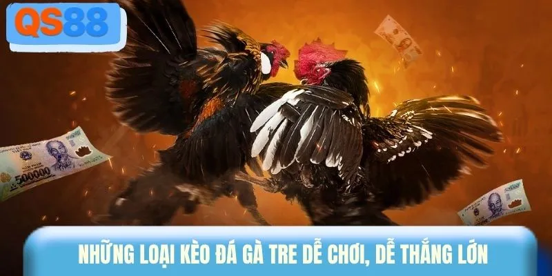 Những loại kèo đá gà tre dễ chơi, dễ thắng lớn